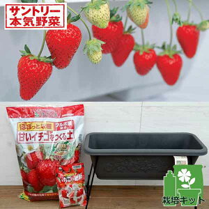 ؂̕c/͔|Zbgiv^[X^hjFlGȂ肢c2i炭Ȃ(R)C`Sj