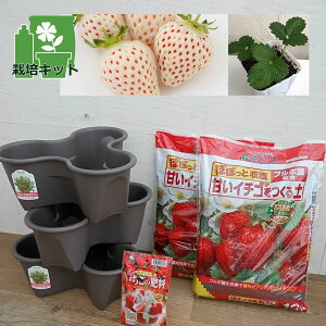 ؂̕c/͔|Zbgin[x[|bgjƂc9iVĝ(R)GWFGCgiAEjj(PVP)