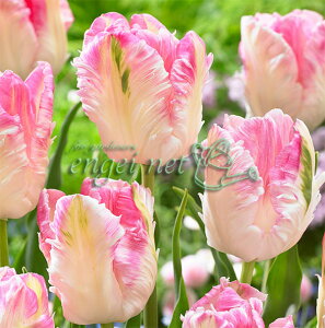 /`[bvip[bg炫jFJoi@5ZbgiPj