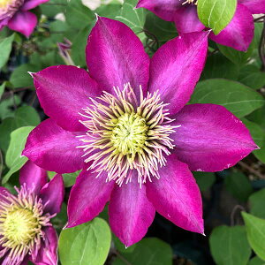 N}`X̕c/N}`XFtFA[[4O|bgi֌nj