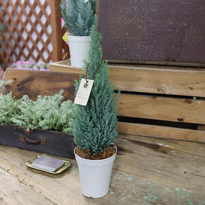 Rjt@[([\qmL)FVo[X^[4AEt