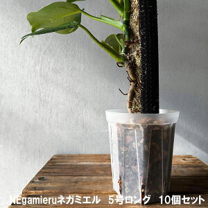 XbgijFlK~G@5O10Zbg