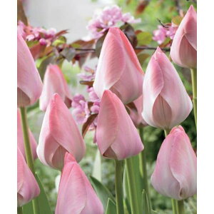 /`[bvF~XeBbNt@ACN3iDHj