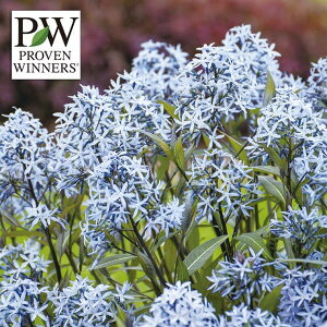 Ԃ̕c/A\jAFXg[NEh5|bg