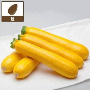 [](ƖpE󒍐Yi)YbL[jFCG[{[g 100[؃^l]*