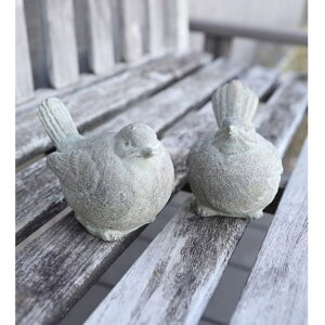 �A���e�B�E�o�[�h 2�_�Z�b�g�iQE-11�j