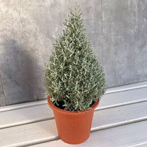 Ԃ̕c/Rbgx_[̃c[d4.5-5A