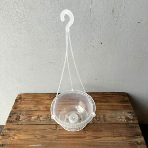 ݂蔫ijFlK~G@AIRiGA[j@5݂蔫