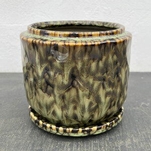 V}FMia13.5cmjE󂯎Mt