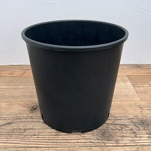 i[Z[|bg@̒ꌊ^Cv a30cm×28cmiRP30Vj 5Zbg