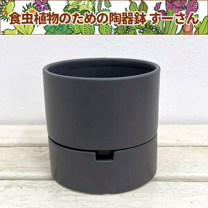 [F_[NO[^LTCY LMtia12.0cmA11.5cmj