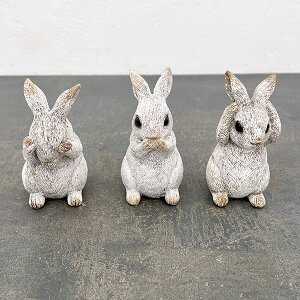 I[igFAeB[NAj}rbgzCgA킴ÃZbg