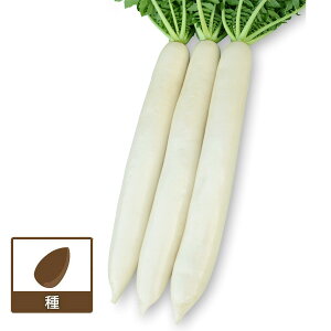 _CRi卪jFYRȞ[؃^l]