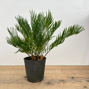 ϗtA/U~AFt_?i@7d|bg25-02