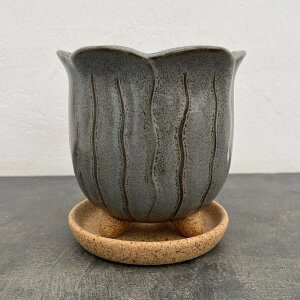 \FbvM@O[4126ia15cmjEMt