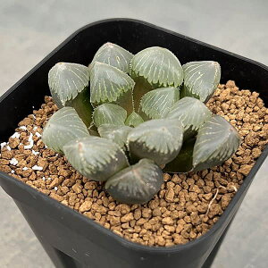 ϗtA/nI`AF[[tBbV(ΕIuc[Tz)@3XNGA