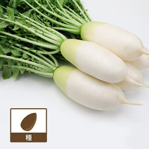 [](ƖpE󒍐Yi)_CRFŹ@ybg5痱[؃^l]*