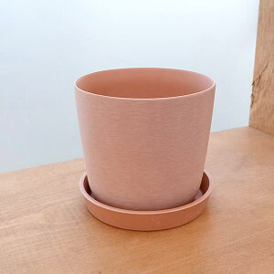 GXe11Pia11cmjsN^83106