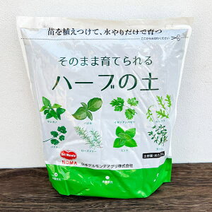 feF̂܂܈Ăn[u̓y1.5bg