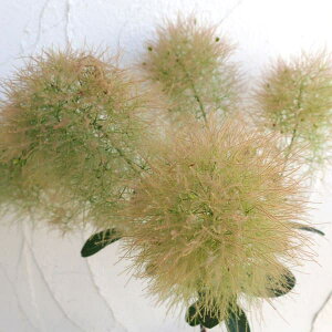 Ԗ ؂̕c/X[Nc[FOfB8|bg