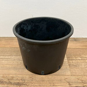 i[Z[|bg@[^Cva24cm×18cmiPQ-NL22j