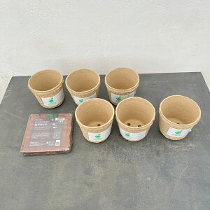 �v���~�A���G�R�|�b�gKUA3�E6�Ɠy�u���b�N(R)5���b�g��1�̃Z�b�g