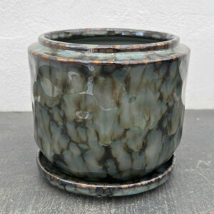 V}FOCMia13.5cmjE󂯎Mt