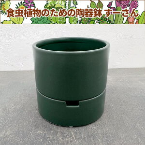 [F_[NO[^LTCY LMtia12.0cmA11.5cmj