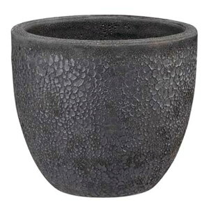 {J[mEh FubN 39cm@(a39×35cmj