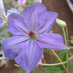 N}`X̕c/N}`XFX~Jiāj4O|bg