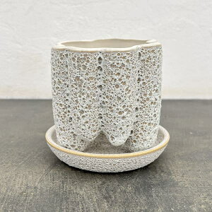 \FXgvS@zCg4340ia12cmjEMt