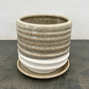 XpC |bg Ah \[T[Fx[W^MTCYia14.5cmA14cmj