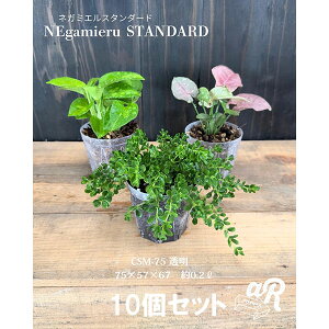 XbgijFlK~GX^_[h2.5 10Zbg