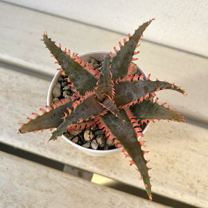 ϗtA/[UEt@[ZNg]AGFJXeBjAG@nCubg@324-17