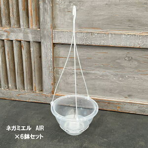 ݂蔫ijFlK~G@AIRiGA[j@5݂蔫 6Zbg