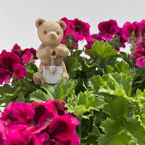 WtHXgsbN xA[CuEiWGP003BRj