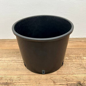 i[Z[|bg@[^Cva26cm×20cmiPQ-NL24j