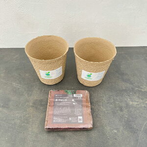 �v���~�A���G�R�|�b�gKUHJ3�E2�Ɠy�u���b�N(R)5���b�g��1�̃Z�b�g