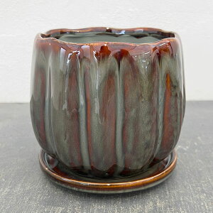 EFZMia13.5cmjE󂯎Mt