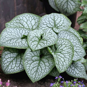 Ԃ̕c/ulFWbNIu_Ch3.5|bg