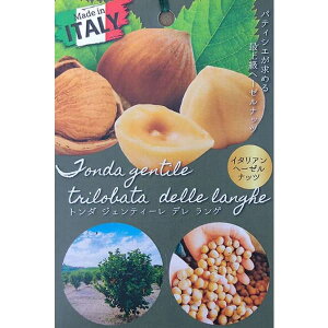 ʎ̕c/w[[ibciC^AjFg_ WFeB[ f Q4`4.5|bg