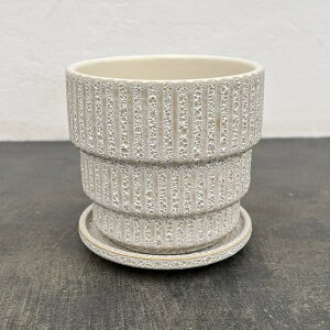 \FCM@zCg4436ia12.5cmjEMt