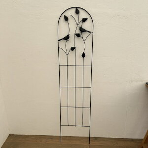 gXiPanyaЁj5708 ubNi32.5cmA141.7cmj