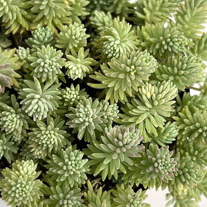 ϗtA/Z_Fp_oGK[^ij3|bg