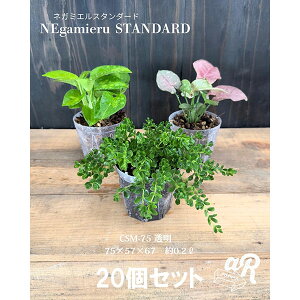 XbgijFlK~GX^_[h2.5 20Zbg