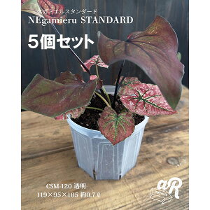 XbgijFlK~GX^_[h4 5Zbg