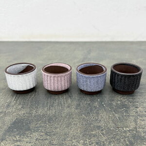 �}���|�b�gC �ی`�c�؁E���F���܂���1���i���a��4.8cm�j