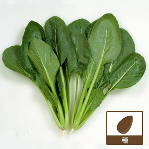 [](ƖpE󒍐Yi)R}cii؁jF悩(R)1L[؃^l]*