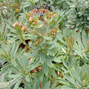 Ԃ̕c/[tHrAFbhECO4|bg