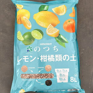 RpȊŵFEkނ̓y8bg